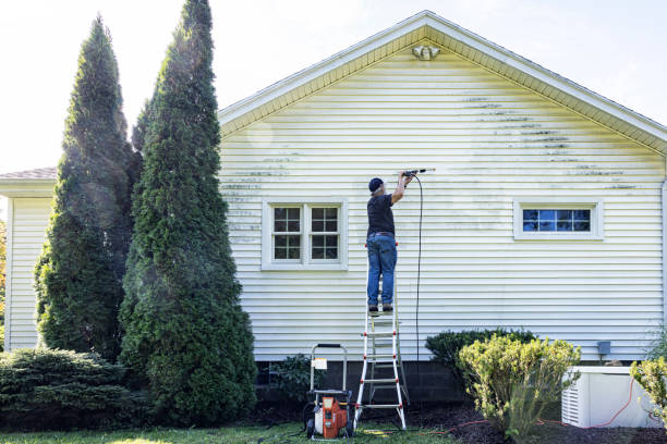 Best Graffiti Removal  in Genola, UT
